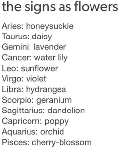 zodiac signs (2)'s Photo