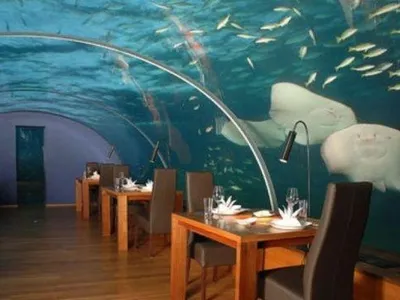 The Restaurant RPG's Photo