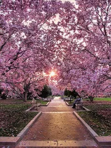 beautiful places page's Photo