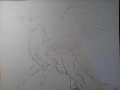 My dragon art page?'s Photo