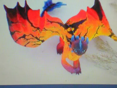 fury dragon role play's Photo