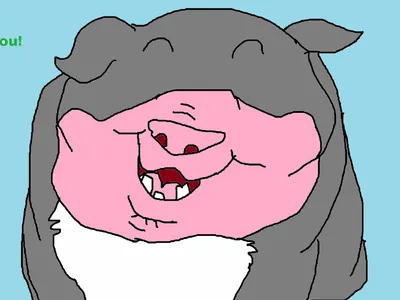 Q & A with Mr. Pig the vietnamese potbelly pig's Photo