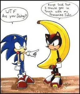 Question Or Dare Shadow The Hedgehog's Photo