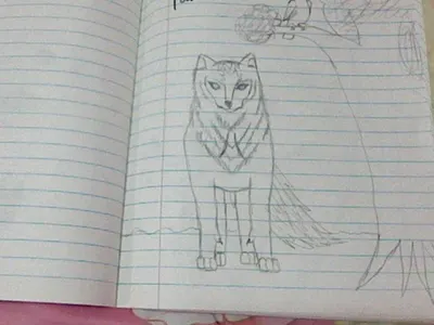 Drawings (1)'s Photo