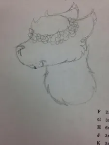 Matthew's Drawings's Photo