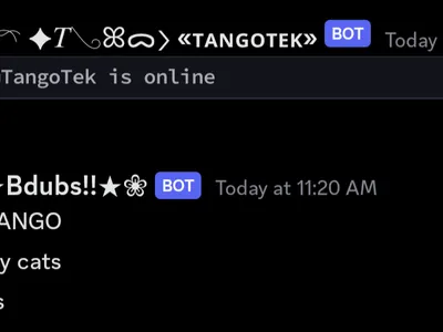 Silly Discord Screenshots's Photo