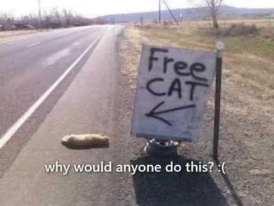 cute stuff's Photo
