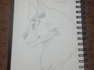 Warrior cats page! Art, fan fiction, drawings, and anything to do with warriors's Photo