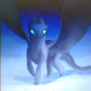 fury dragon role play's Photo
