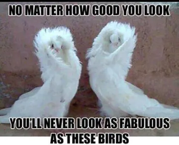 Animal Lovers's Photo