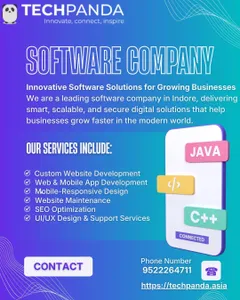 Software Development Company in Indore (4)