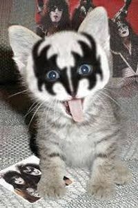 The Cute Animal Page's Photo The Cute Animal Page's Photo