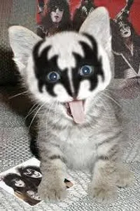 The Cute Animal Page's Photo The Cute Animal Page's Photo