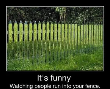 Crazy and Funny!'s Photo