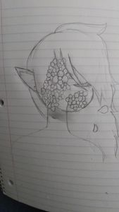 Drawings?'s Photo