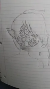 Drawings?'s Photo