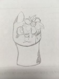 Matthew's Drawings's Photo