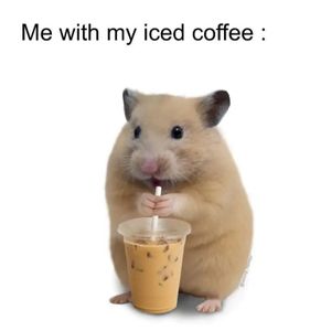 Memes (8)'s Photo