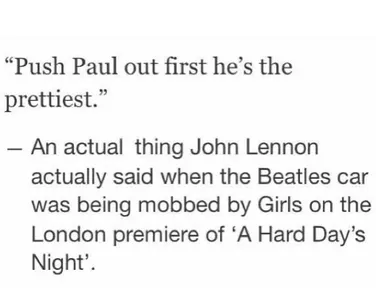 Beebles's Photo