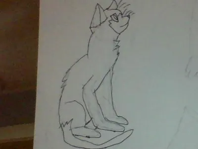 Warrior cats page! Art, fan fiction, drawings, and anything to do with warriors's Photo Warrior cats page! Art, fan fiction, drawings, and anything to do with warriors's Photo