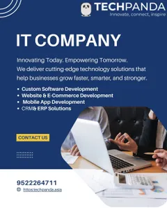 It Company in Indore (4)