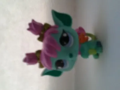 LPS Toy Naming's Photo