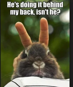 Adorable & Funny Animal Pictures!'s Photo