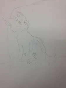 Matthew's Drawings's Photo