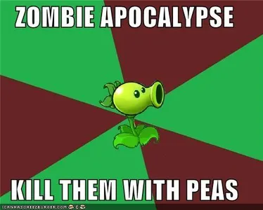 Crazy and Funny!'s Photo