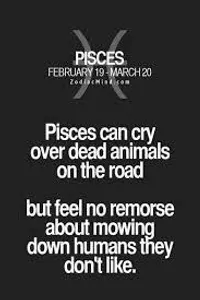 zodiac signs (2)'s Photo