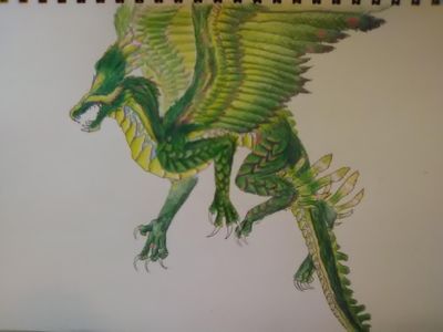 My dragon art page?'s Photo