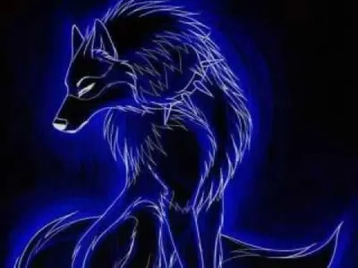Wolf adoption page! :-)'s Photo
