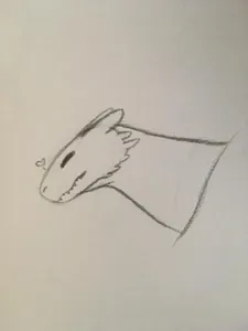 Matthew's Drawings's Photo