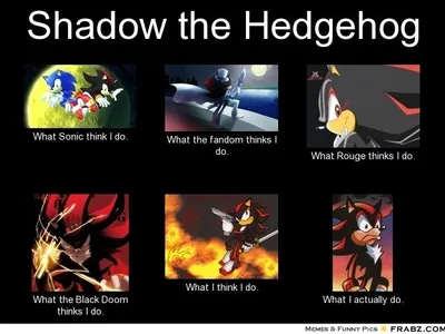 MEMES!'s Photo
