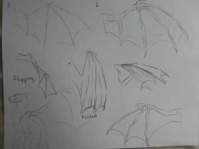 My dragon art page?'s Photo