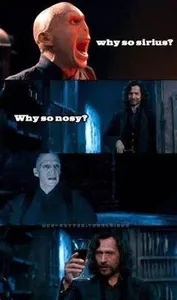 Harry Potter Memes (1)'s Photo