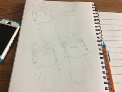 Matthew's Drawings's Photo