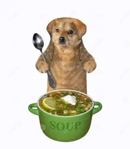 Memes (8)'s Photo