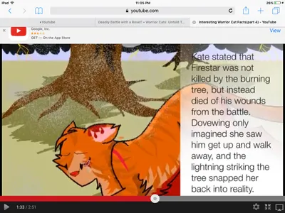 Warrior Cats!'s Photo