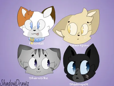 Warrior Cats Fandom (Edits)'s Photo