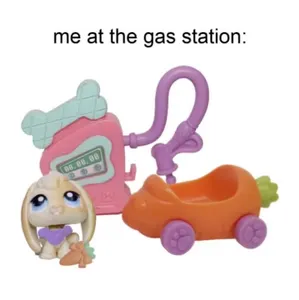 Memes (8)'s Photo