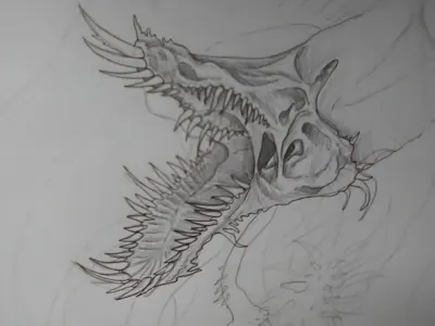 My dragon art page?'s Photo