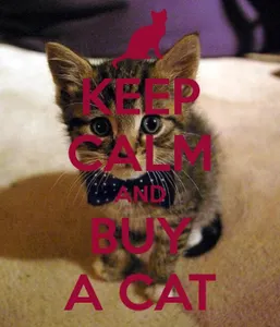 Keep Calm Request Page's Photo