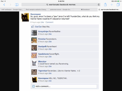 Warrior Cats!'s Photo