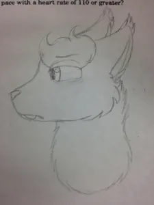 Matthew's Drawings's Photo