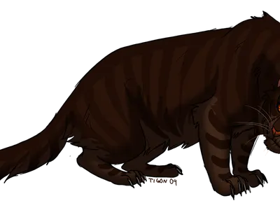 Debate about Warrior cats.