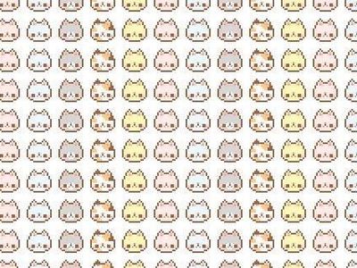 Animal drawings!