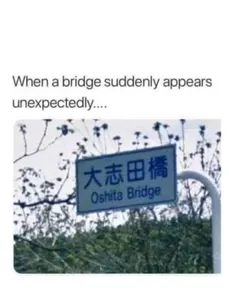 meme hub's Photo