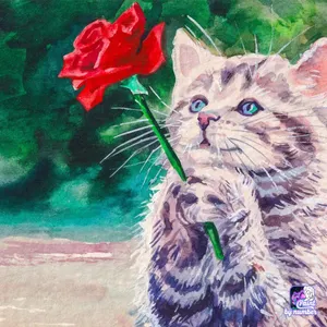 Paint by Number's Photo