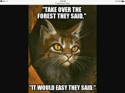 Warrior Cats!'s Photo